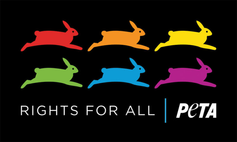 Pride, Rights For All Sticker
