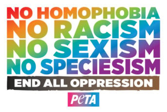 Pride, End Oppression Sticker