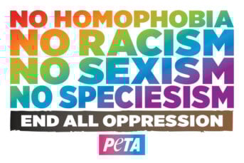 Pride, End Oppression Sticker