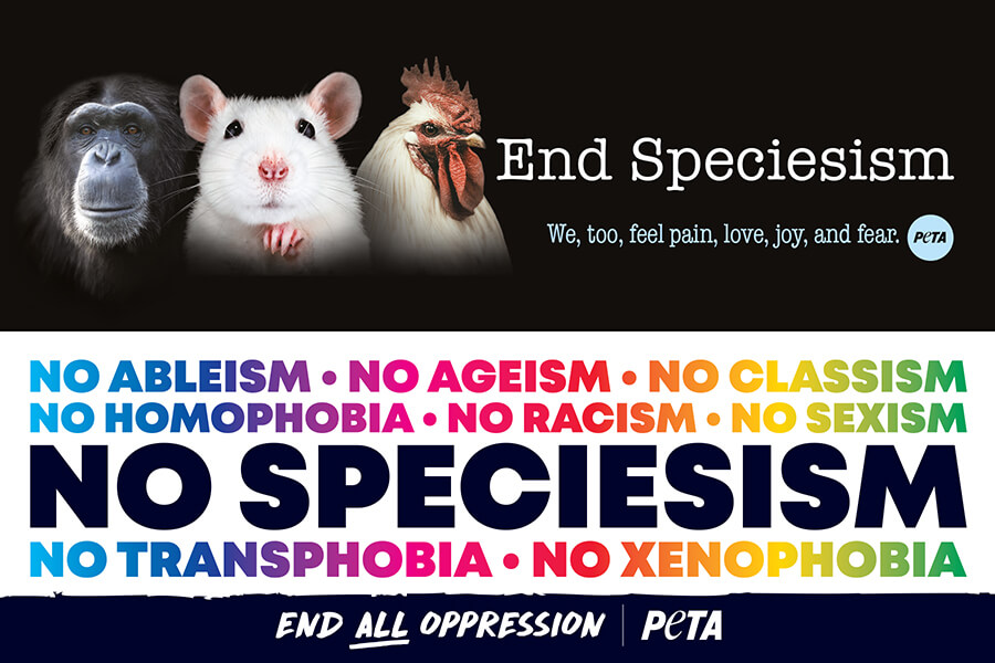 End All Oppression Bookmark