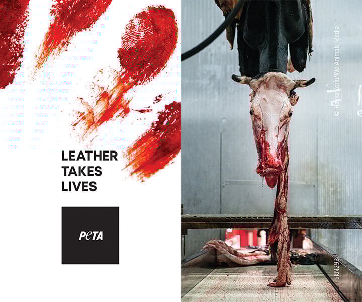 Leather Takes Lives Hangtag