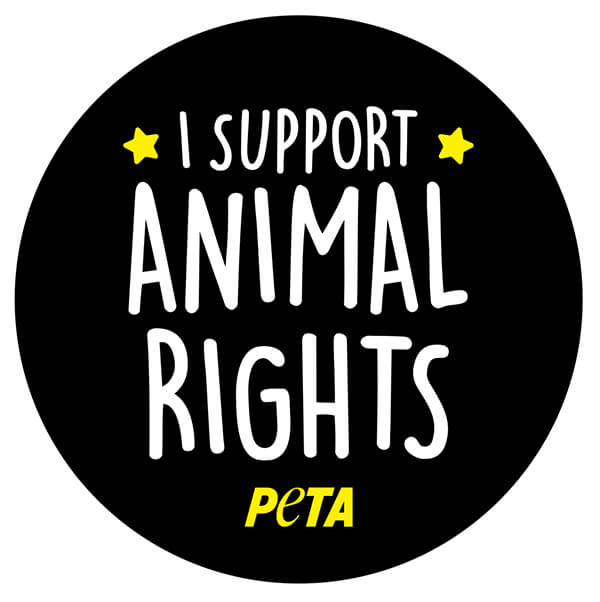 I Support Animal Rights Sticker