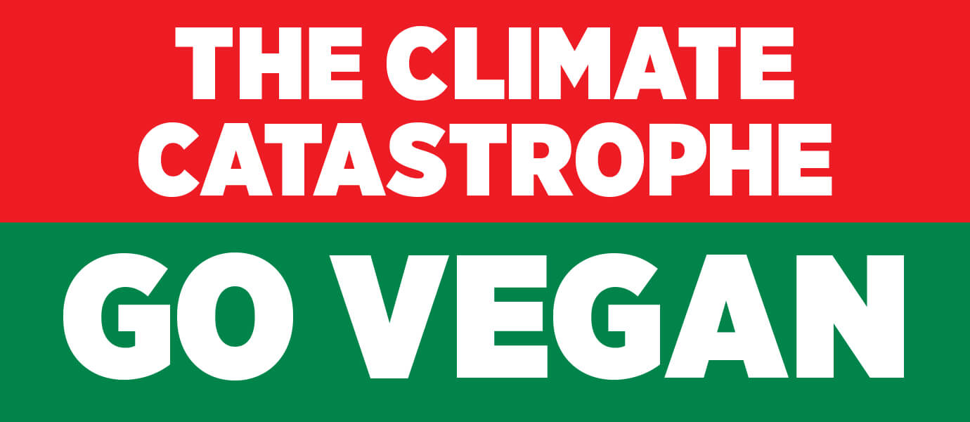 Climate Catastrophe Red Sticker
